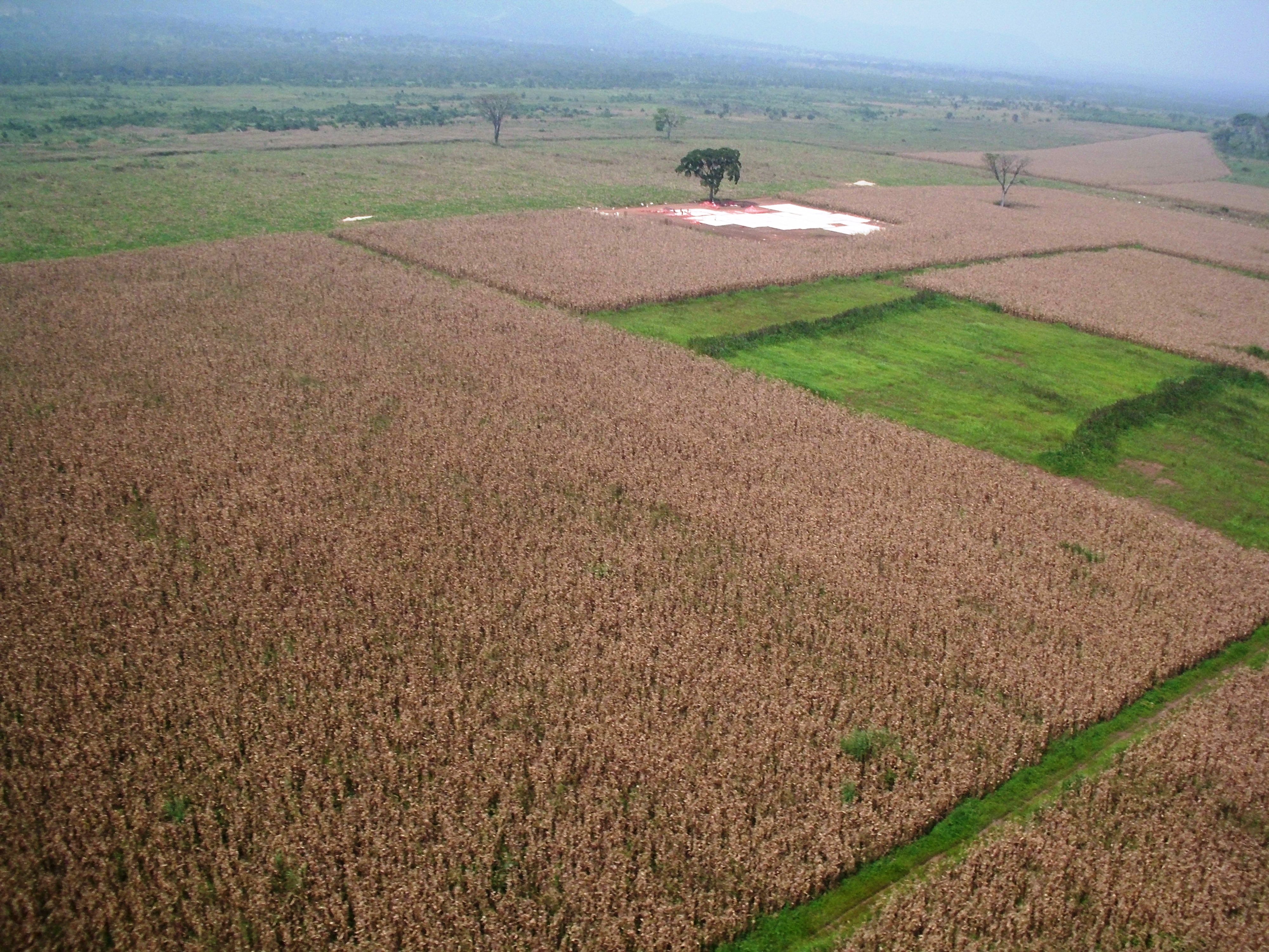 Transforming Smallholder Agriculture in Uganda